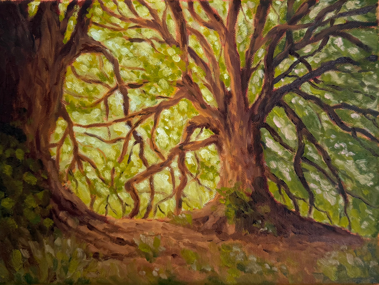 "Under The Branches" - Original Oil on Canvas