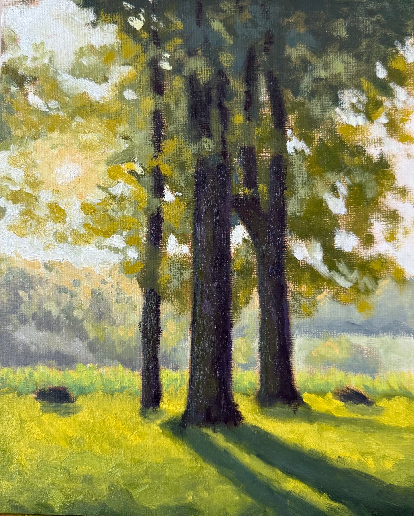 Three Sisters - 8x10 Inch Original